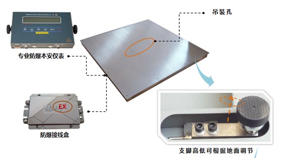 防爆電子地磅