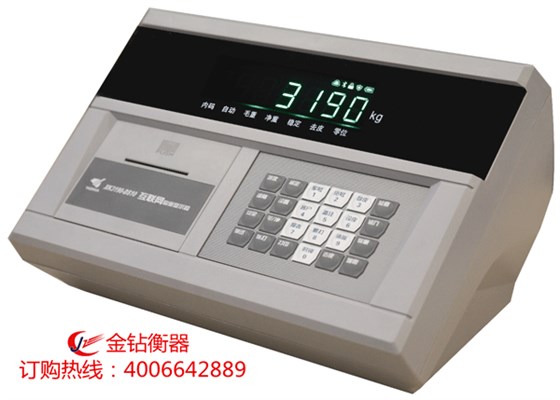 物聯網儀表XK3190-DS10