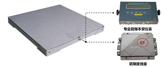 防爆電子地磅