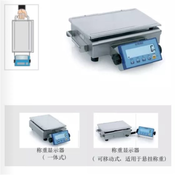 APD便攜式桌秤