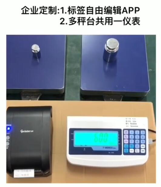 金搏仕多臺秤共用一臺儀表